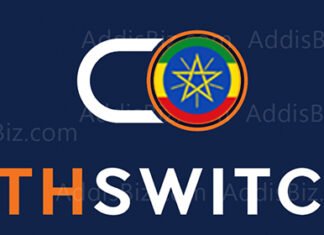 Ethiopian Fintechs Prepare for EthSwitch Payment Gateway Impact