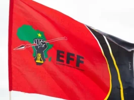 The EFF celebrate its 12th anniversary