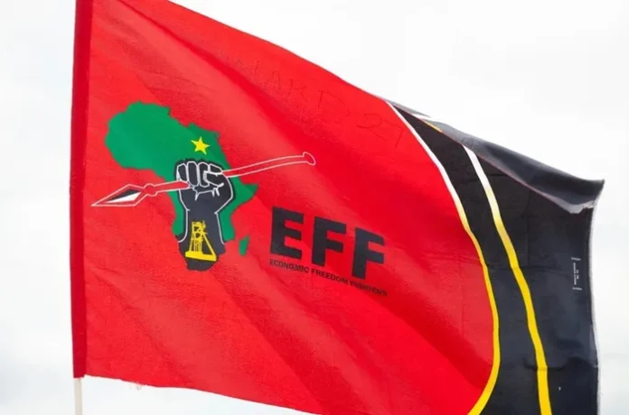 The EFF celebrate its 12th anniversary