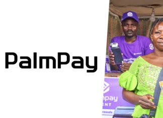 Palmpay becomes Top 300 most recognized Fintech firm