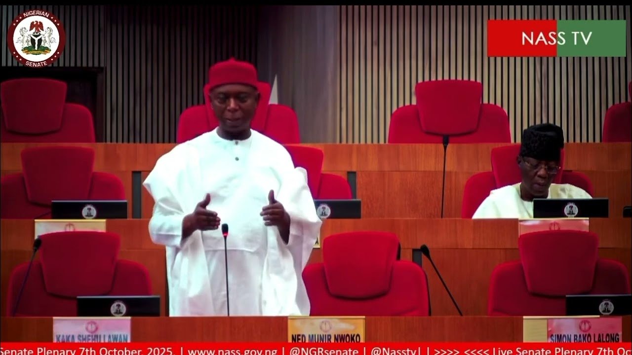 Senator Ned Nwoko Gaming Bill