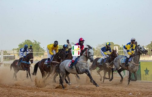 Senegal Horse Racing Enters New Era as Grand Prix Opens to Betting