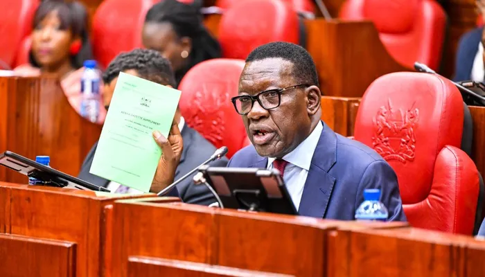 A man in a blue suit and glasses speaks at a parliamentary chamber with red seats behind him, a colleague holding a green document nearby.