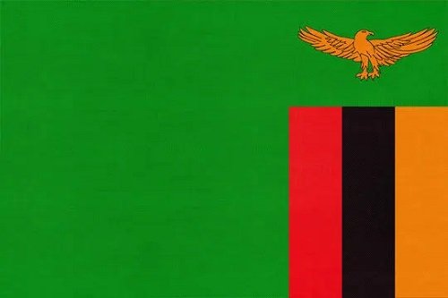 ZGA Urges Gaming Operators to Drive Growth Through Full Regulatory Compliance
