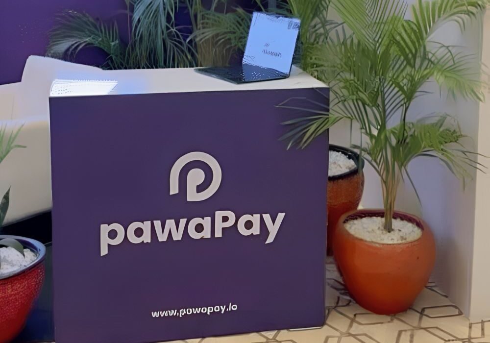 find more africa #findmoreafrica › Purple reception desk with the Pawapay logo and website, surrounded by potted plants in a lobby.